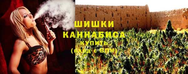 мдпв Козельск