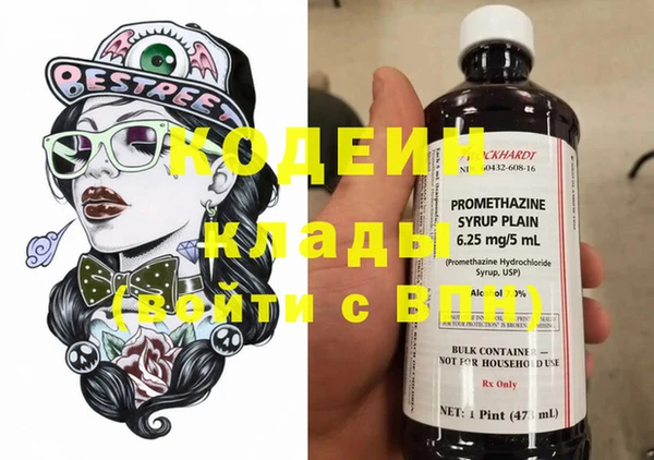 мдпв Козельск