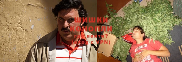 мдпв Козельск