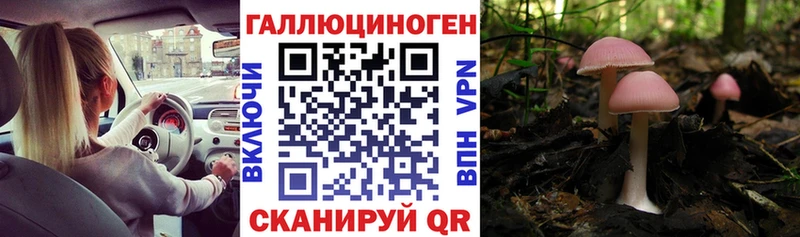 MEGA зеркало  как найти закладки  Берёзовка  Псилоцибиновые грибы GOLDEN TEACHER 