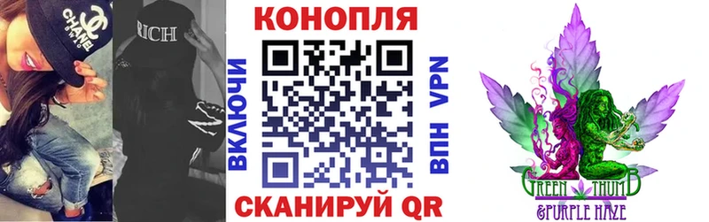 Конопля план Берёзовка
